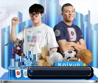 全流程赛事陪伴, 观赛有据可依（kaiyun）